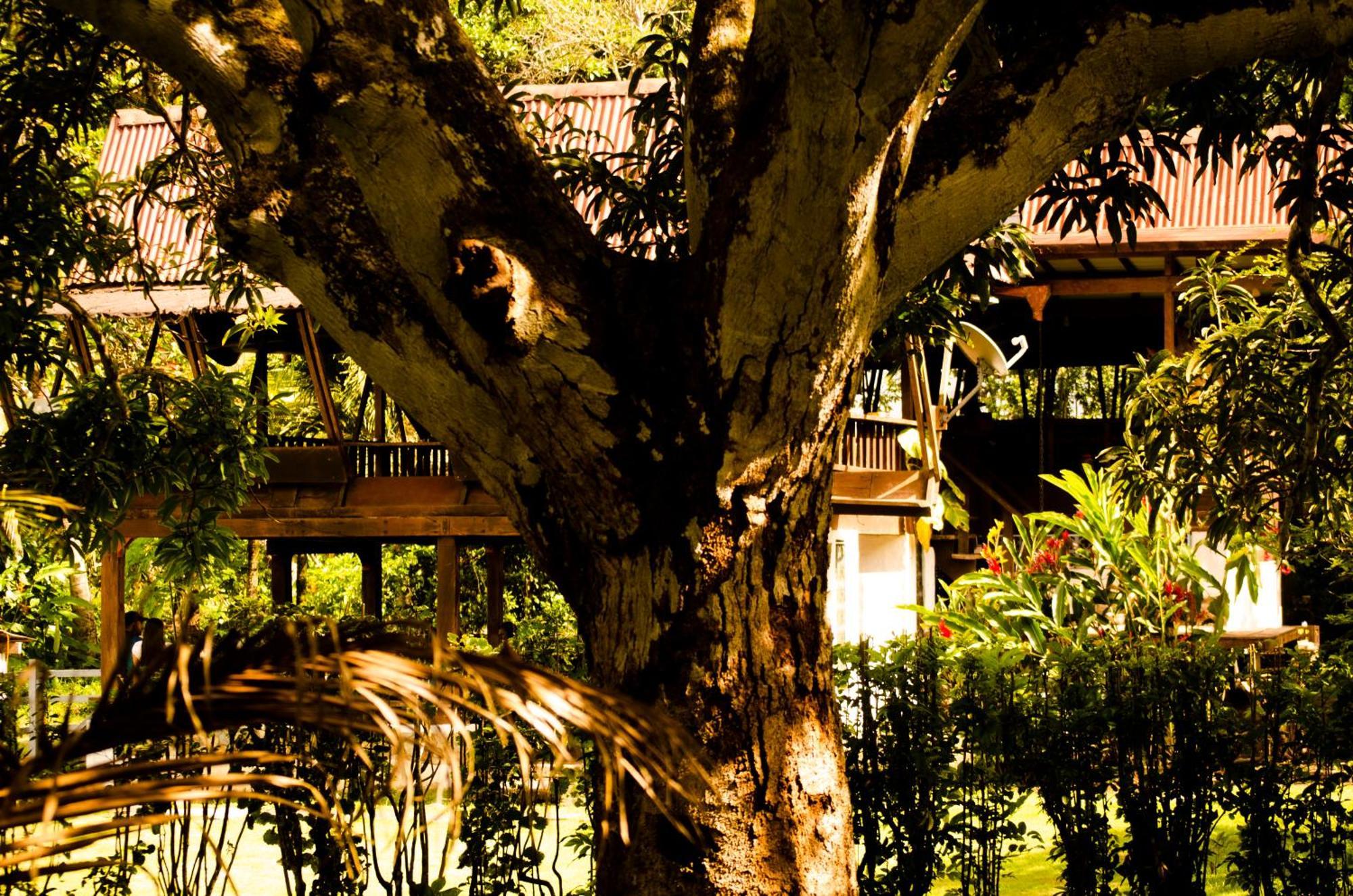 Hotel Bahia Aguacate กาปูร์กานา ภายนอก รูปภาพ